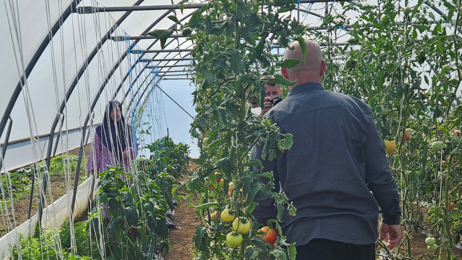 Help Amrin Provide Indoor Sustainable Farms for Bosnia - Image 2