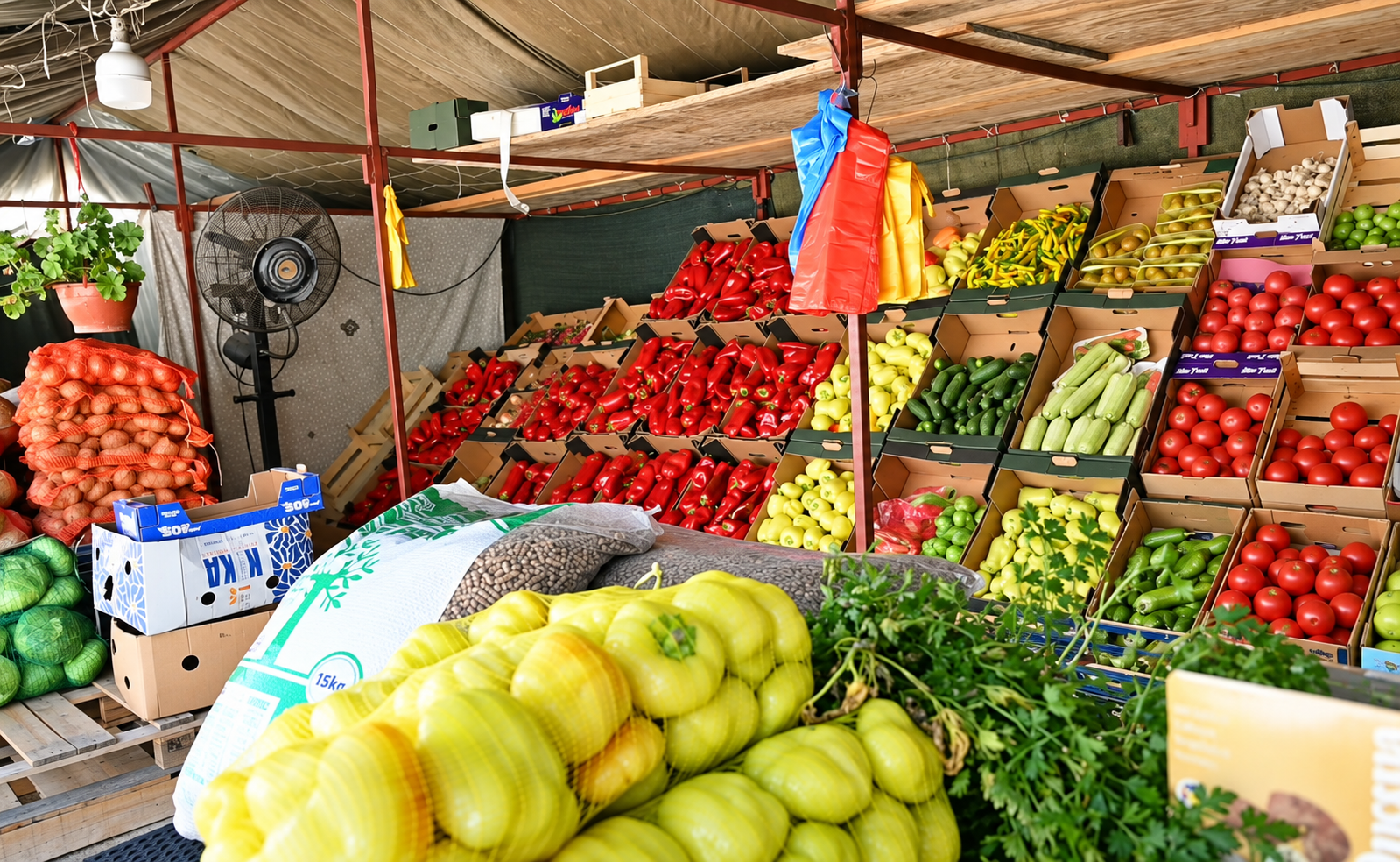 Help Amrin Provide Indoor Sustainable Farms for Bosnia - Image 3
